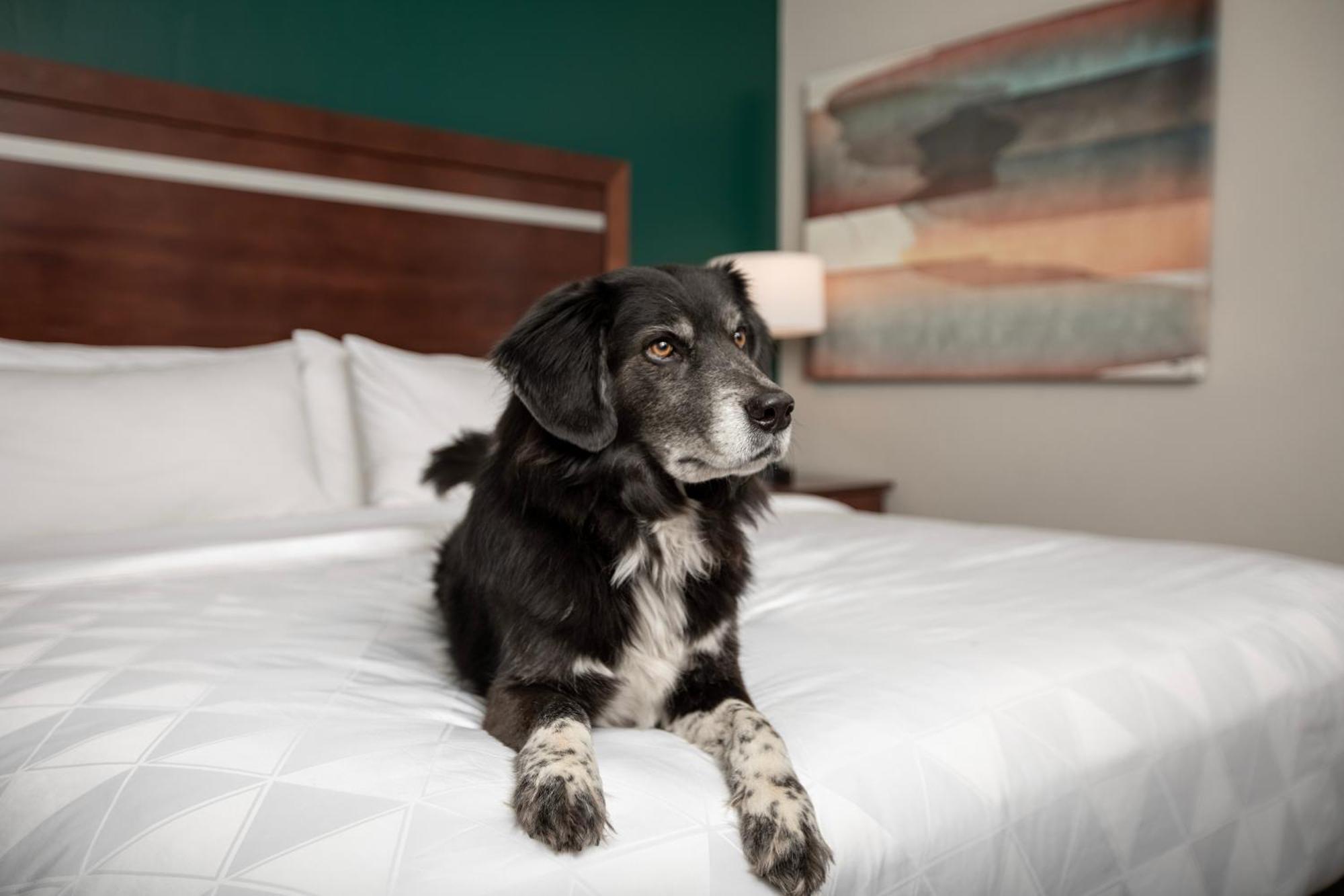 Holiday Inn & Suites Durango Downtown By Ihg Экстерьер фото